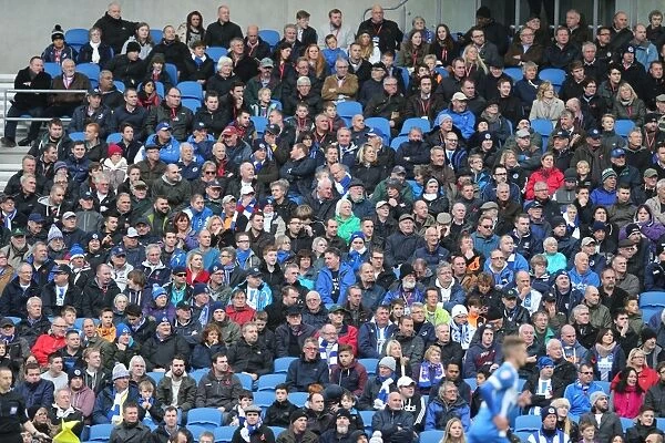 Brighton & Hove Albion Fans in Full Force: Sky Bet Championship Showdown vs. Wigan Athletic (8 November 2014)