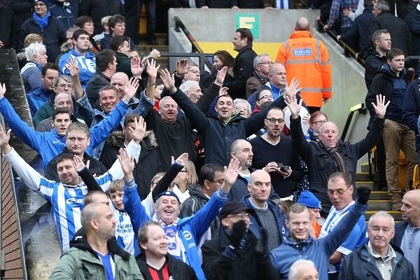 Brighton and Hove Albion Fans in Full Force: Sky Bet Championship Showdown at Norwich City, 22nd November 2014