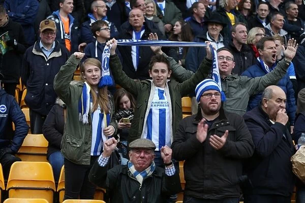 Brighton and Hove Albion Fans in Full Force: Sky Bet Championship Showdown at Norwich City, 22 November 2014