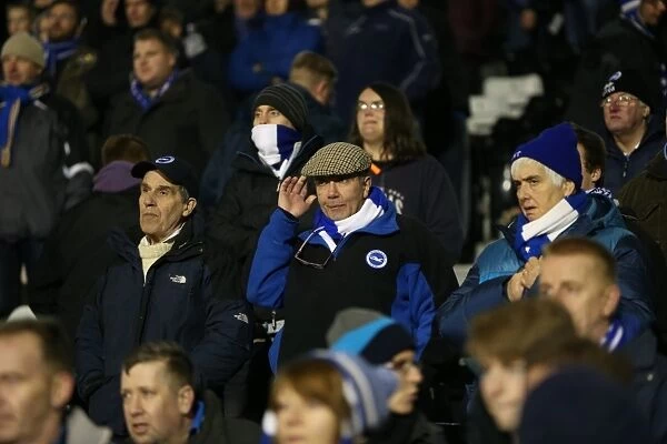 Brighton and Hove Albion Fans in Full Force: A Sea of Colors at Fulham's Craven Cottage (29DEC14)