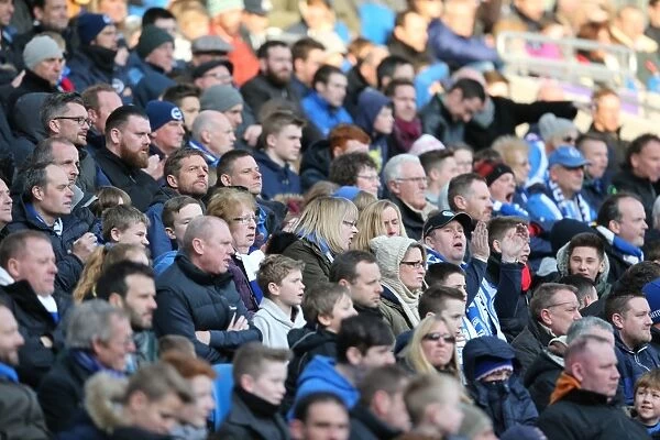 Brighton and Hove Albion Fans in Full Force: Sky Bet Championship Showdown vs. Wolverhampton Wanderers (14 March 2015)