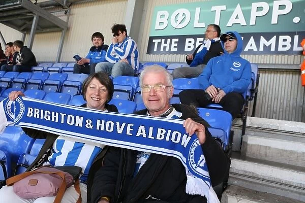 Brighton and Hove Albion Fans in Full Force: A Sea of Colors at Wigan Athletic Championship Match (18th April 2015)