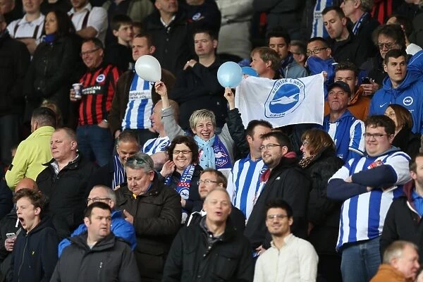 Brighton and Hove Albion Fans in Full Force: Middlesbrough Championship Showdown, May 2015