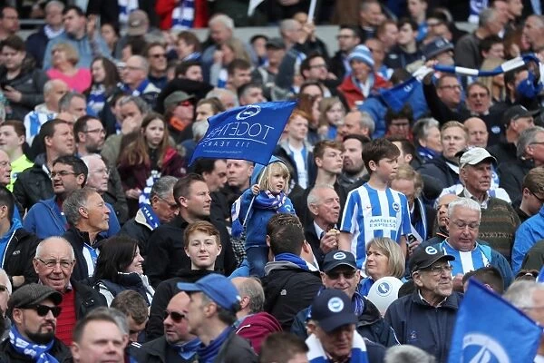 Brighton and Hove Albion Fans in Full Force: EFL Sky Bet Championship Match vs. Wigan Athletic (17APR17)