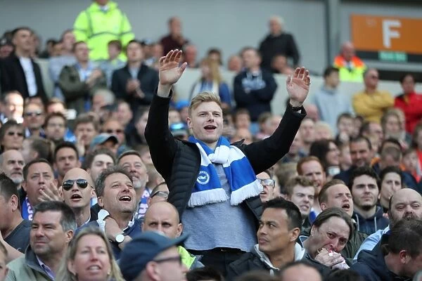 Brighton and Hove Albion Fans in Full Force: American Express Community Stadium vs. Wigan Athletic (17APR17)