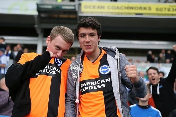 Brighton & Hove Albion Fans in Full Force at American Express Community Stadium during SkyBet Championship Match vs. Rotherham United (October 25, 2014)