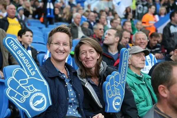 Brighton and Hove Albion Fans in Full Force at American Express Community Stadium during SkyBet Championship Match vs. Rotherham United (October 2014)