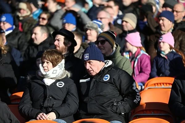 Brighton and Hove Albion Fans in Full Force at Bloomfield Road during the Sky Bet Championship Match vs Blackpool (31st January 2015)