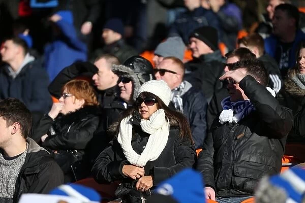 Brighton and Hove Albion Fans in Full Force at Bloomfield Road (31Jan15)