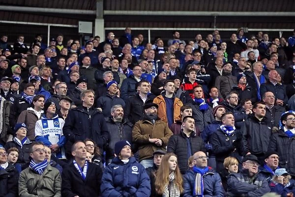 Brighton and Hove Albion Fans in Full Force at Reading's Madejski Stadium (10MAR15)