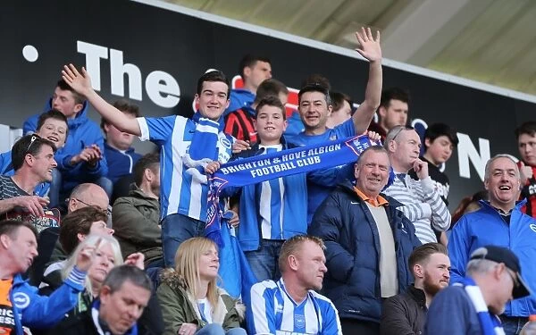 Brighton and Hove Albion Fans in Full Force at Rotherham United Match, April 2015