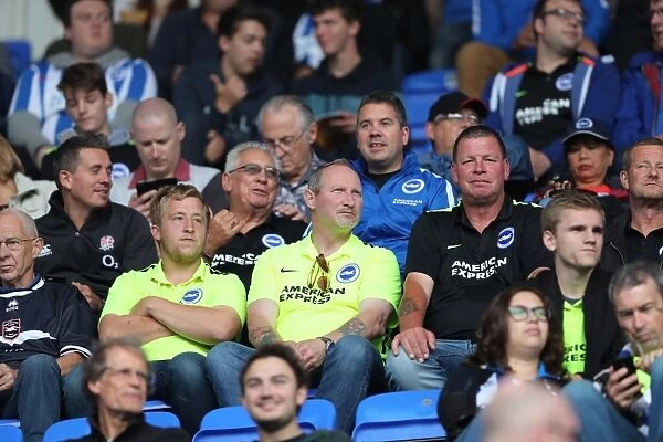 Brighton and Hove Albion Fans in High Spirits at Reading Championship Match, 2016