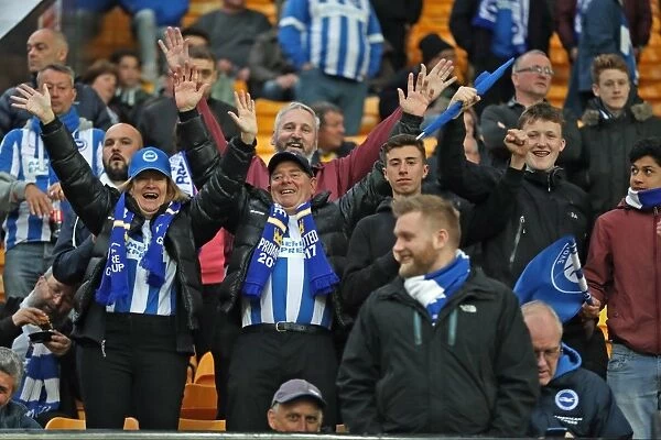 Brighton and Hove Albion Fans at Norwich City's Carrow Road Stadium, 21st April 2017 (EFL Sky Bet Championship)