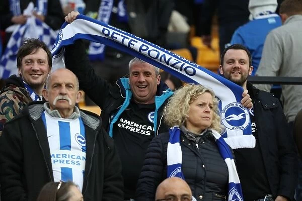 Brighton and Hove Albion Fans at Norwich City's Carrow Road Stadium, EFL Sky Bet Championship 2017