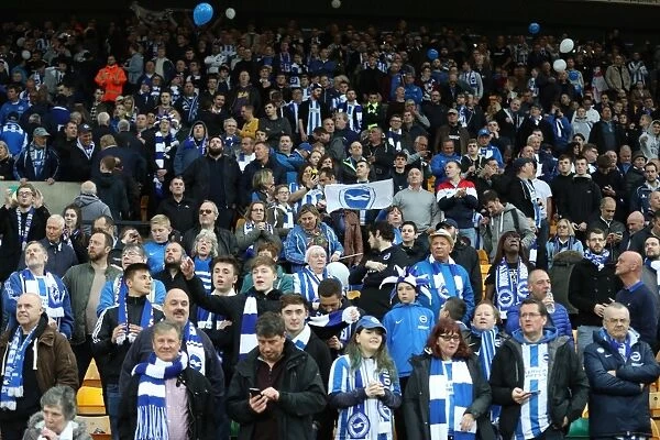 Brighton and Hove Albion Fans at Norwich City's Carrow Road Stadium, EFL Sky Bet Championship Match, 21st April 2017
