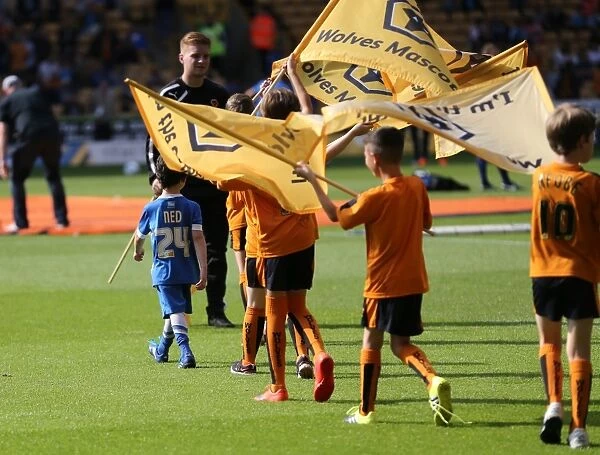 Brighton and Hove Albion Fans Passionate Display at Wolverhampton Wanderers Championship Clash (September 2015)