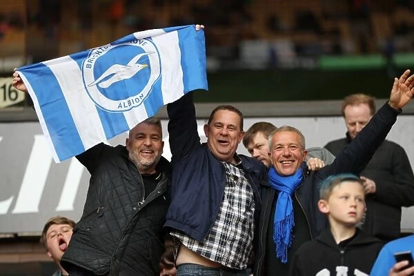 Brighton & Hove Albion Fans Passionate Showing at Molineux Stadium (April 2017): EFL Sky Bet Championship Match vs. Wolverhampton Wanderers