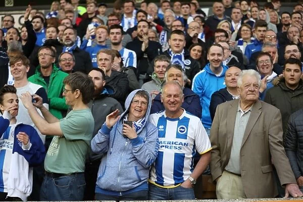 Brighton & Hove Albion Fans Passionate Showing at Molineux Stadium (April 14, 2017): EFL Sky Bet Championship Clash vs. Wolverhampton Wanderers