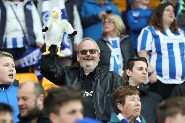 Brighton and Hove Albion Fans Passionate Showing at Norwich City's Carrow Road Stadium (21st April 2017)