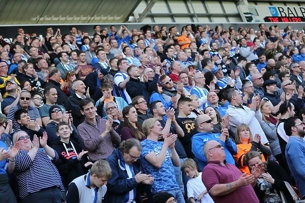Brighton and Hove Albion Fans Passionate Support at Rotherham United Match, April 2015