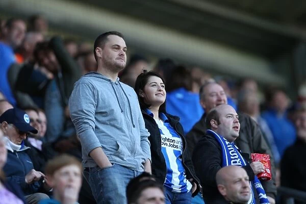 Brighton and Hove Albion Fans Passionate Support at Wigan Athletic Championship Match (18APR15)