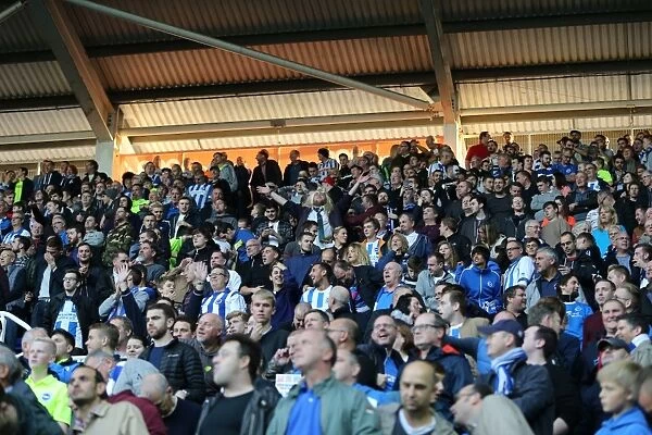 Brighton and Hove Albion Fans Passionate Support at Reading Championship Match, 31st October 2015