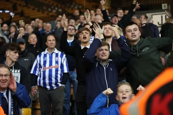 Brighton & Hove Albion Fans Passionate Support at Wolverhampton Wanderers Championship Clash (14th April 2017)