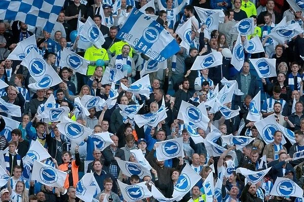 Brighton and Hove Albion Fans in Play-Off Frenzy: Sky Bet Championship Clash vs. Sheffield Wednesday (16MAY16)