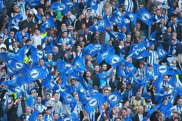Brighton and Hove Albion Fans in Play-Off Frenzy: Waving Flags Against Sheffield Wednesday (16 May 2016)