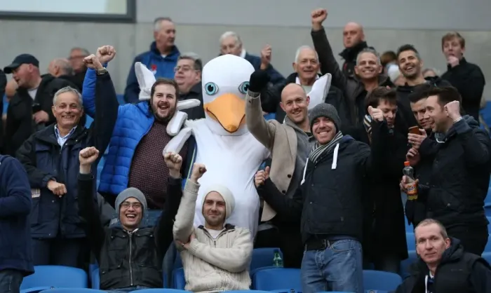 Framed Print : Brighton and Hove Albion Fans with Seagull Celebrating at American Express Community Stadium vs. Wigan Athletic (Nov. 2014) Framed Print : Brighton and Hove Albion Fans with Seagull Celebrating at American Express Community Stadium vs. Wigan Athletic (Nov. 2014)