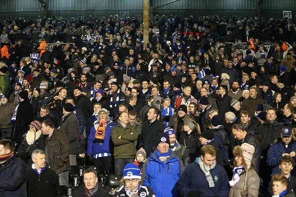 Brighton and Hove Albion Fans in Full Swing: A Passionate Atmosphere at Fulham's Craven Cottage (29DEC14)