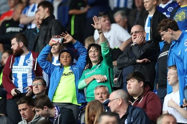 Brighton and Hove Albion Fans in Full Throat: Passionate Moment at the Reading Championship Match, 2016