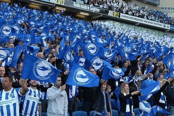Brighton and Hove Albion Fans Unite: Play-Off Tension at the Sky Bet Championship (16May16) - Brighton vs. Sheffield Wednesday
