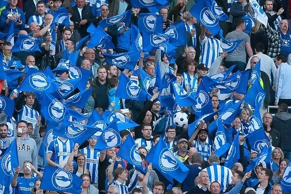 Brighton and Hove Albion Fans Unite: Play-Off Tension at the American Express Community Stadium (16MAY16)