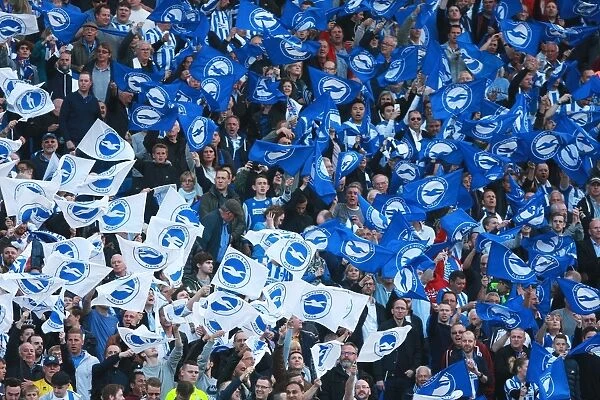 Brighton and Hove Albion Fans Unite: Play-Off Tension at American Express Community Stadium (16MAY16)