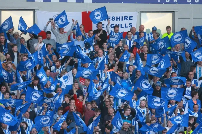 Framed Print : Brighton and Hove Albion Fans Unite: Play-Off Tension at American Express Community Stadium (16MAY16) Framed Print : Brighton and Hove Albion Fans Unite: Play-Off Tension at American Express Community Stadium (16MAY16)