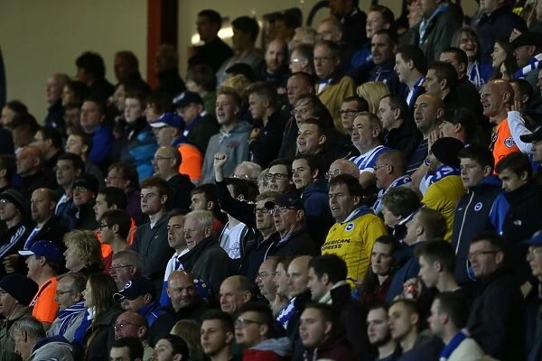 Brighton and Hove Albion Fans United: SkyBet Championship Showdown at Bournemouth's Goldsands Stadium (November 1, 2014)