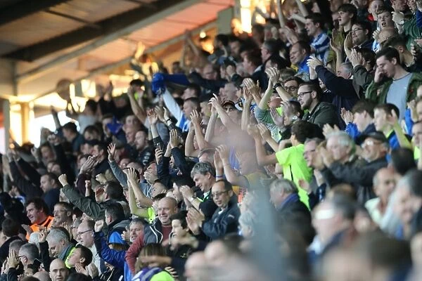 Brighton and Hove Albion Fans Unwavering Passion at Reading Championship Match, October 2015