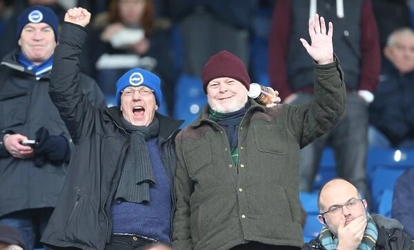 Brighton and Hove Albion Fans Unwavering Support at Sheffield Wednesday Championship Showdown, 14 February 2015