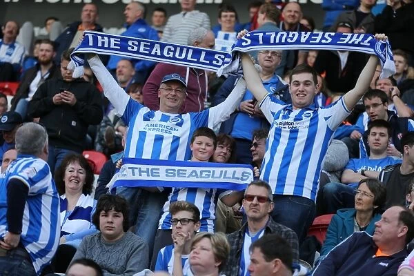Brighton and Hove Albion Fans Unwavering Support at Rotherham United Match, April 2015