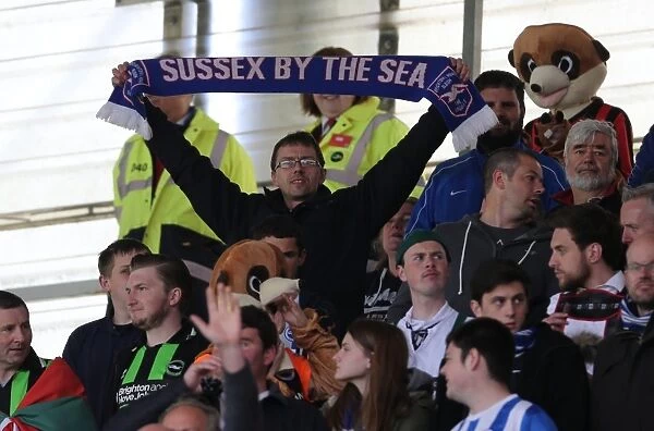Brighton and Hove Albion Fans Unwavering Support at Middlesbrough Championship Match, May 2015