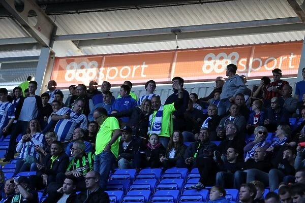 Brighton and Hove Albion Fans Unwavering Support at Reading Championship Match, October 2015