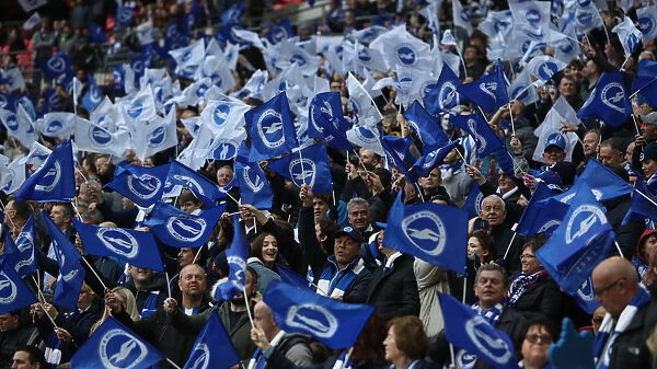 Brighton and Hove Albion Fans Unwavering Support at the Emirates FA Cup Semi-Final vs Manchester City, Wembley Stadium (2019)