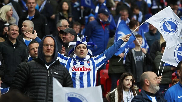 Brighton and Hove Albion Fans Unwavering Support at the FA Cup Semi-Final vs Manchester City, Wembley Stadium, 2019
