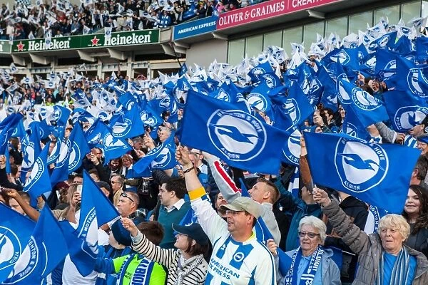 Brighton and Hove Albion Fans Wave Flags in Play-Off Tension: Sky Bet Championship Final Showdown (16MAY16)