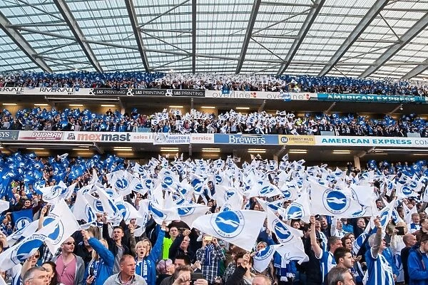 Brighton and Hove Albion Fans Wave Flags in Play-Off Tension: Sky Bet Championship Showdown vs. Sheffield Wednesday (16MAY16)