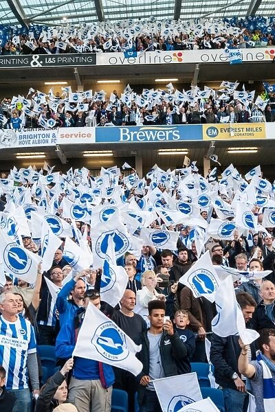 Brighton and Hove Albion Fans Wave Flags in Play-Off Tension (16May16)