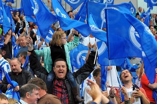 Brighton & Hove Albion FC: 2011-12 Home Season - A Flashback to Spurs and Doncaster Games