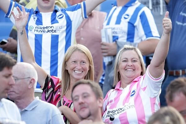 Brighton & Hove Albion FC: Electric Atmosphere at The Amex (2011-12)