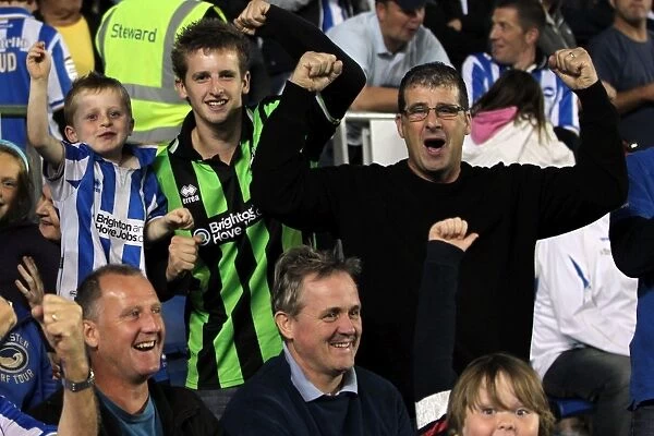 Brighton & Hove Albion FC: Electric Atmosphere - Crowd Shots at The Amex (2012-2013)